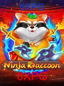 NinjaRaccoon